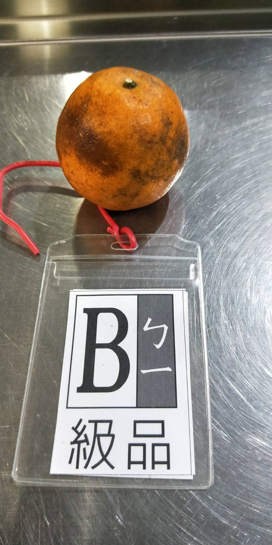 B3.jpg