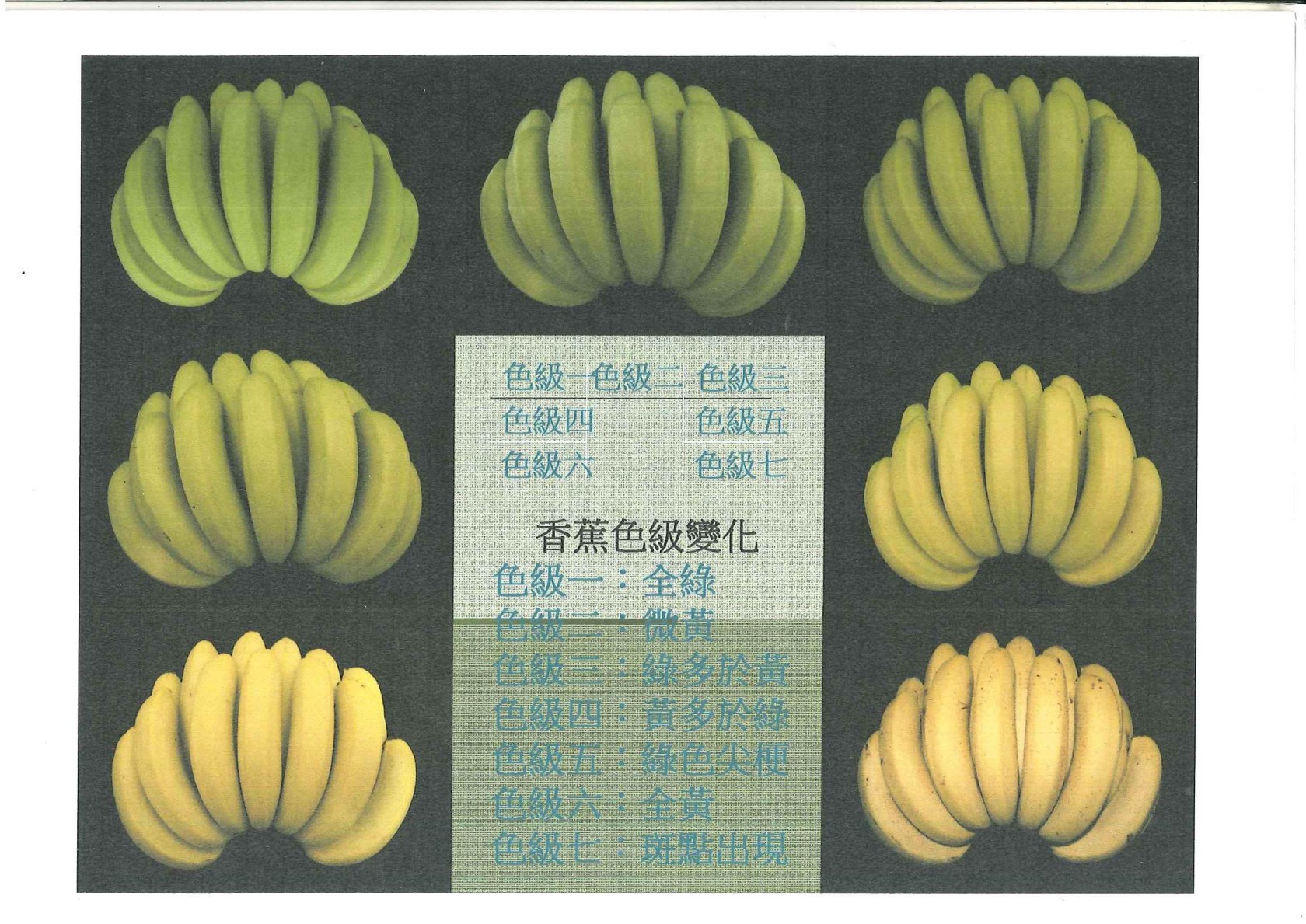 香蕉.jpg